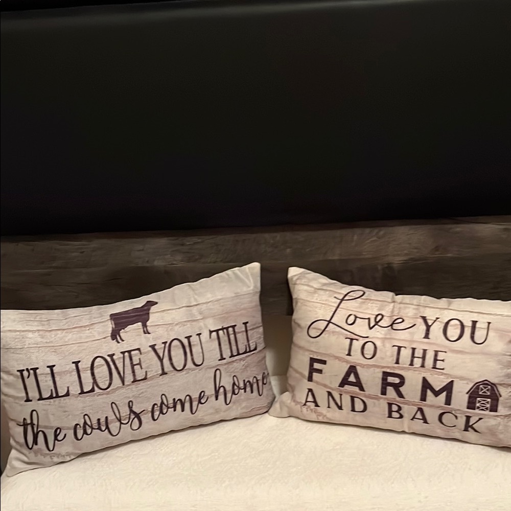 Farmhouse Decorative Throw Pillows NWOT